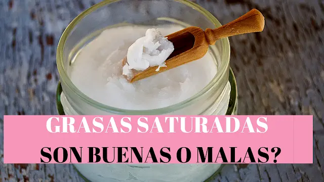 grasas saturadas