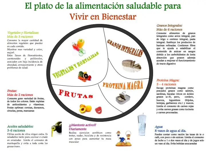 El Plato de la Alimentación para Vivir en Bienestar